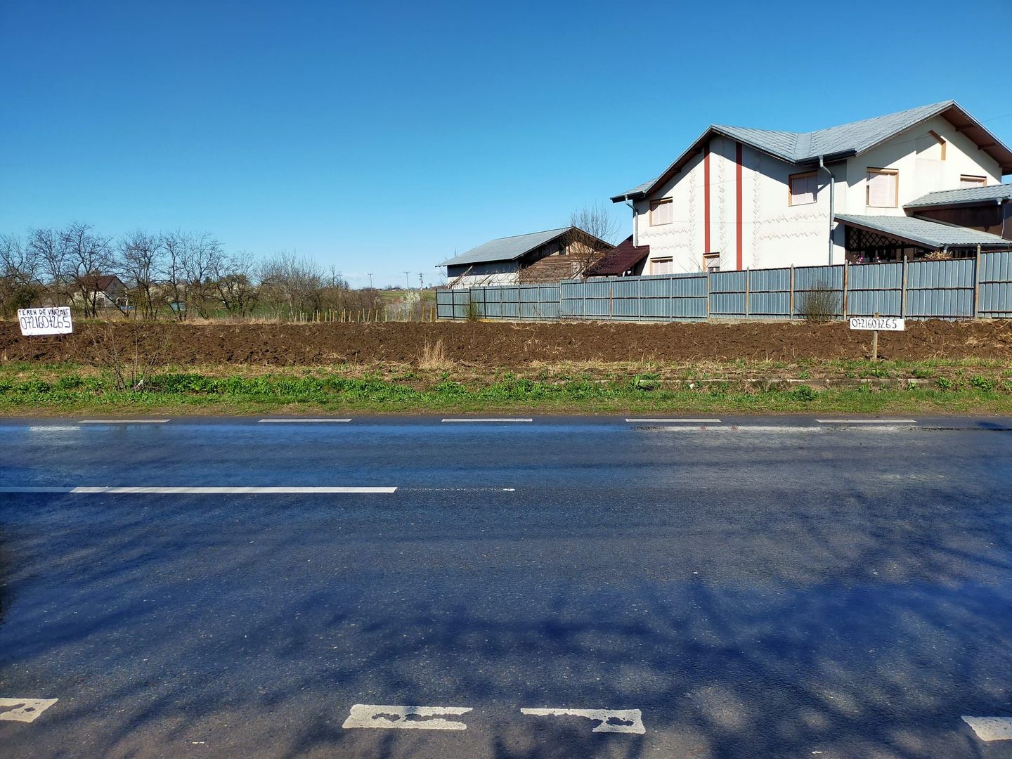 Teren de vânzare în Dascalu, judet Bucuresti Ilfov - Poză 7