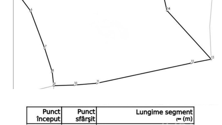 Teren intravilan 9000 mp, la 5 minute de lacul Belis! - Poză 3