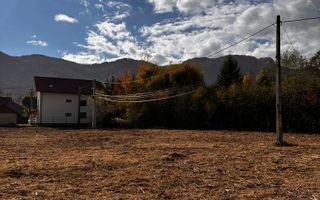 Teren Bran / Predelut - Poză 6