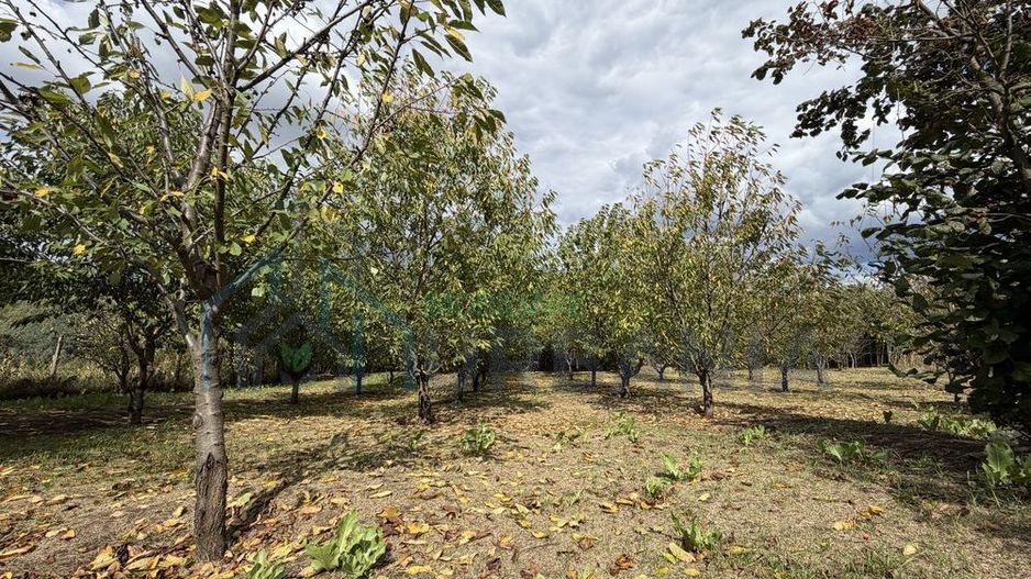 Teren 3200 mp în Osoi, comuna Comarna, cu deschidere de 36 ml la DN28 - Poză 2