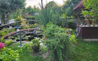 Vila Horezu Romanii de Jos - Poză 57