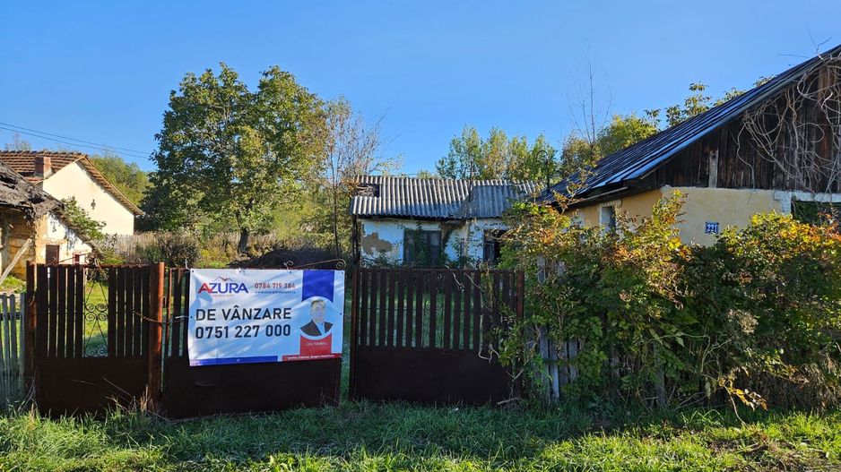 Vanzare teren 3300 mp, intravilan, Albota - Mares - Poză 2