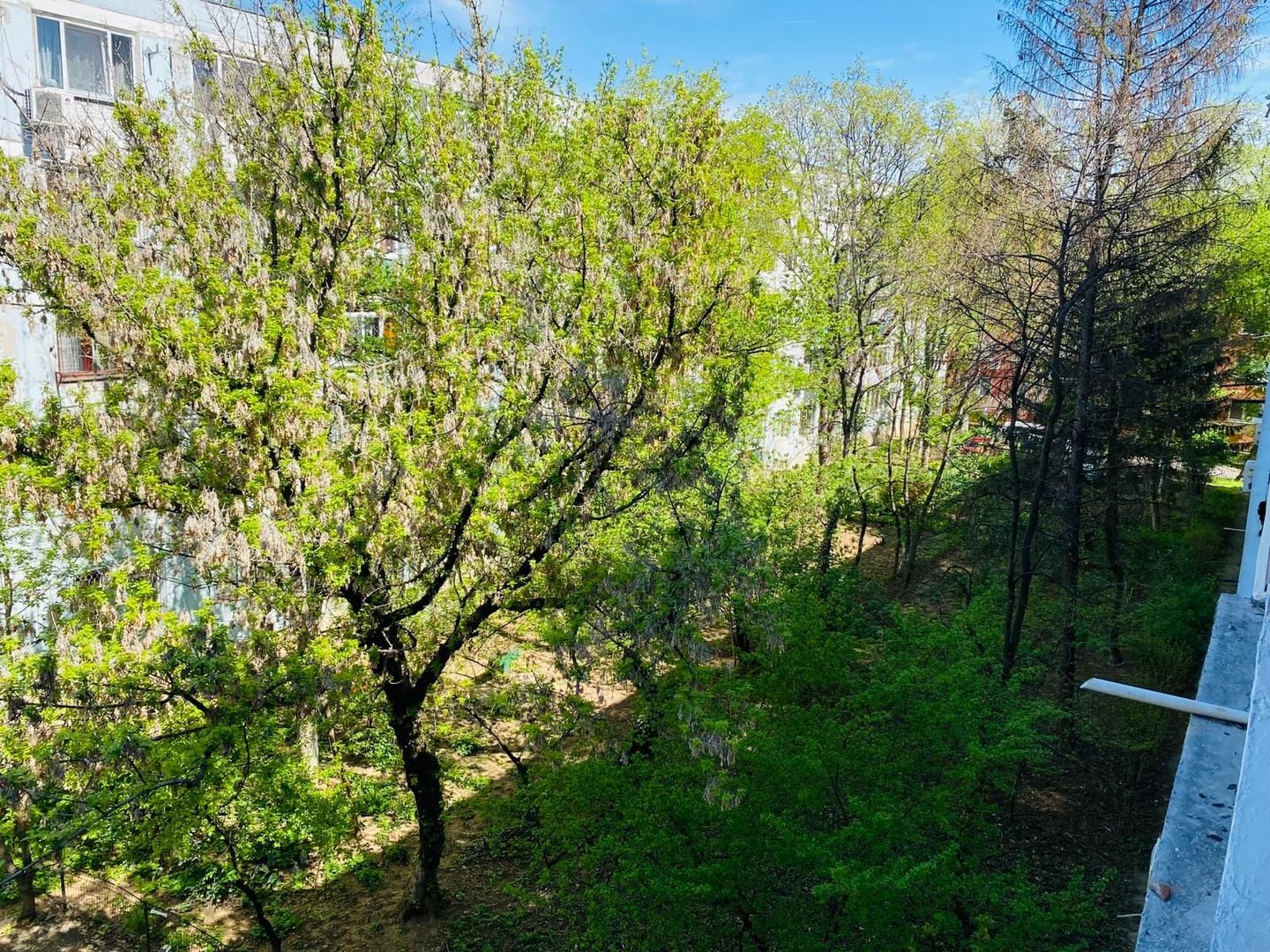 Rahova, langa Gradinita 185 si LIDL Teius, 2 camere, centrala proprie - Poză 9