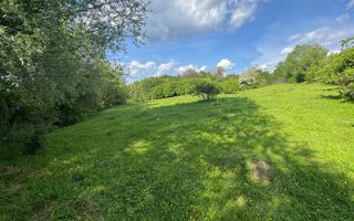 TEREN INTRAVILAN 2943 MP CAMPULUNG - Poză 11