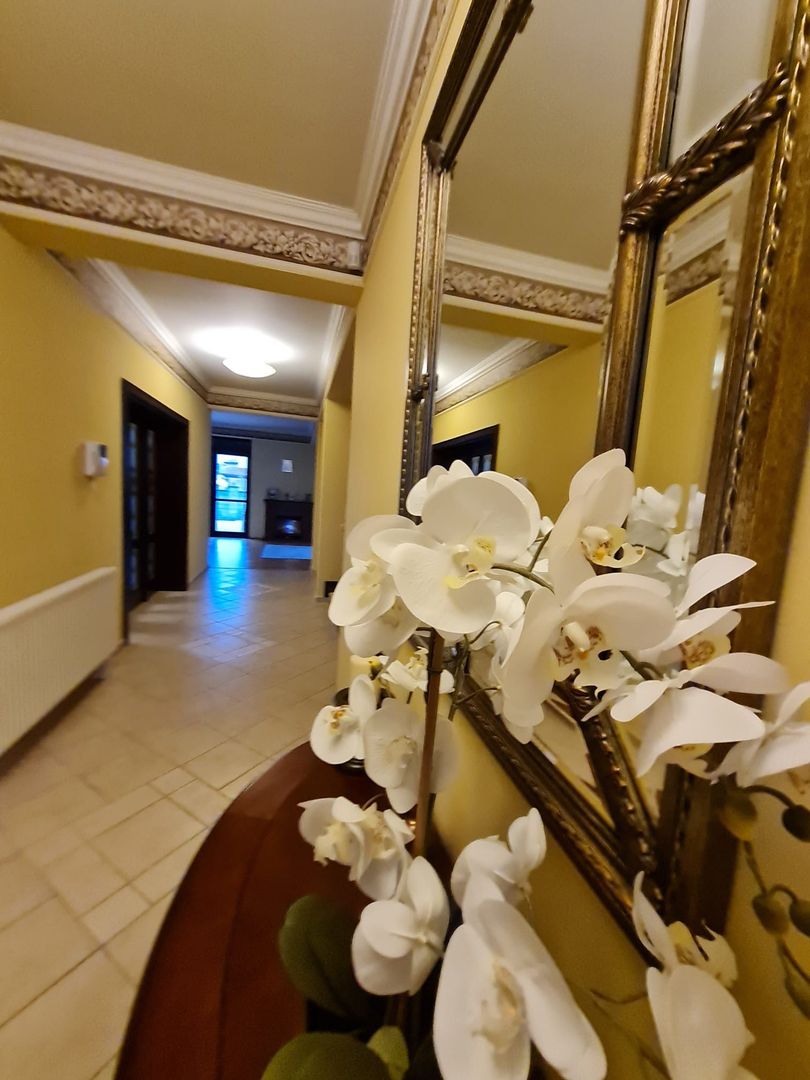 Poziție de top în Dumbravita - Poză 14