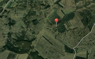 Teren intravilan de vanzare | 2.900 mp | Macicasu, com. Chinteni | La - Poză 3