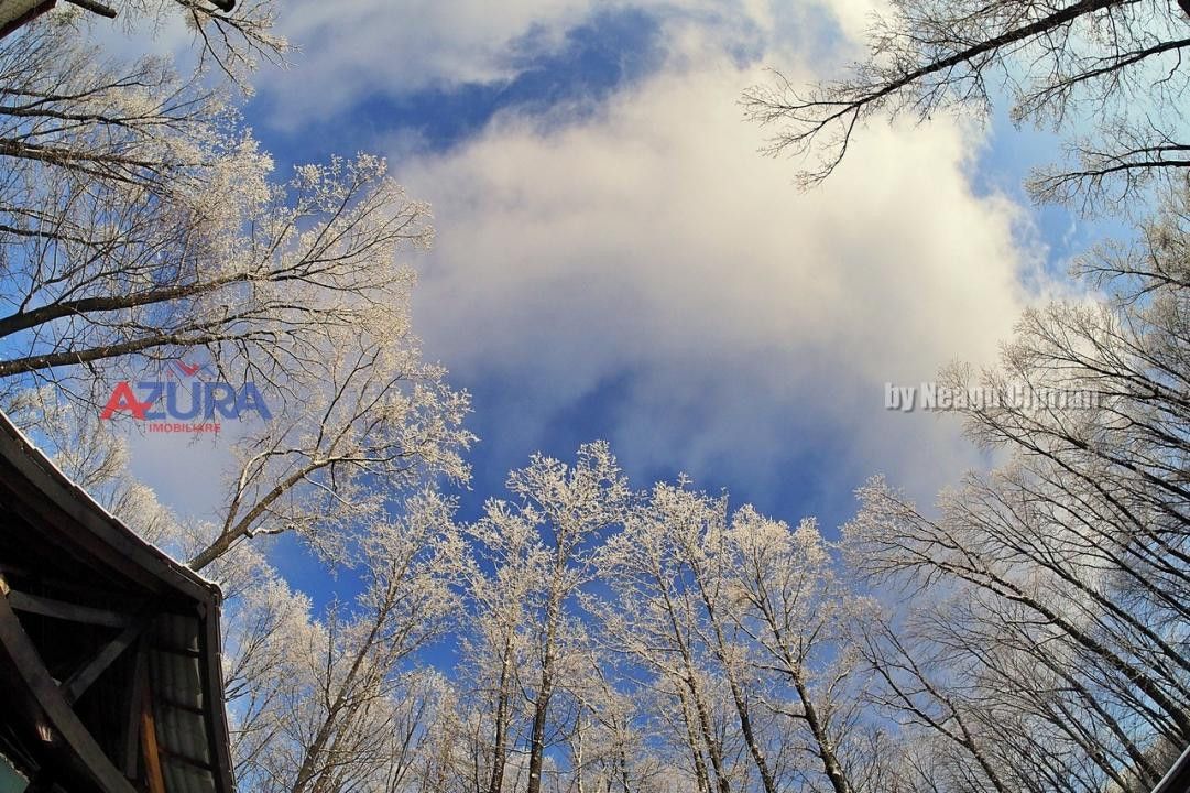 COMISION 0% -Casa deosebita Ciocanai - Poză 42
