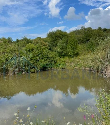 De vanzare teren in comuna schitu duca cu iaz de peste si salcami - Poză 1