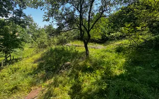TEREN INTRAVILAN 2146 MP, ALBESTII DE MUSCEL, ARGES - Poză 14