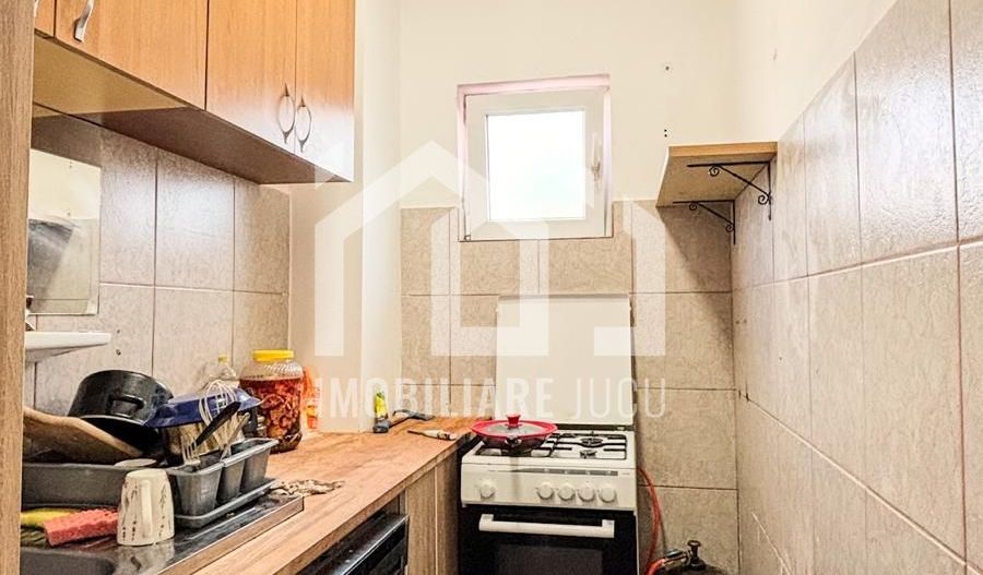 Casa individuala cu 12 camere, Potential Turistic, Visea, Comuna Jucu - Poză 24
