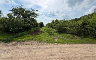 Teren intravilan 498,02 mp langa pădure , strada privata Corbeanca - Poză 2