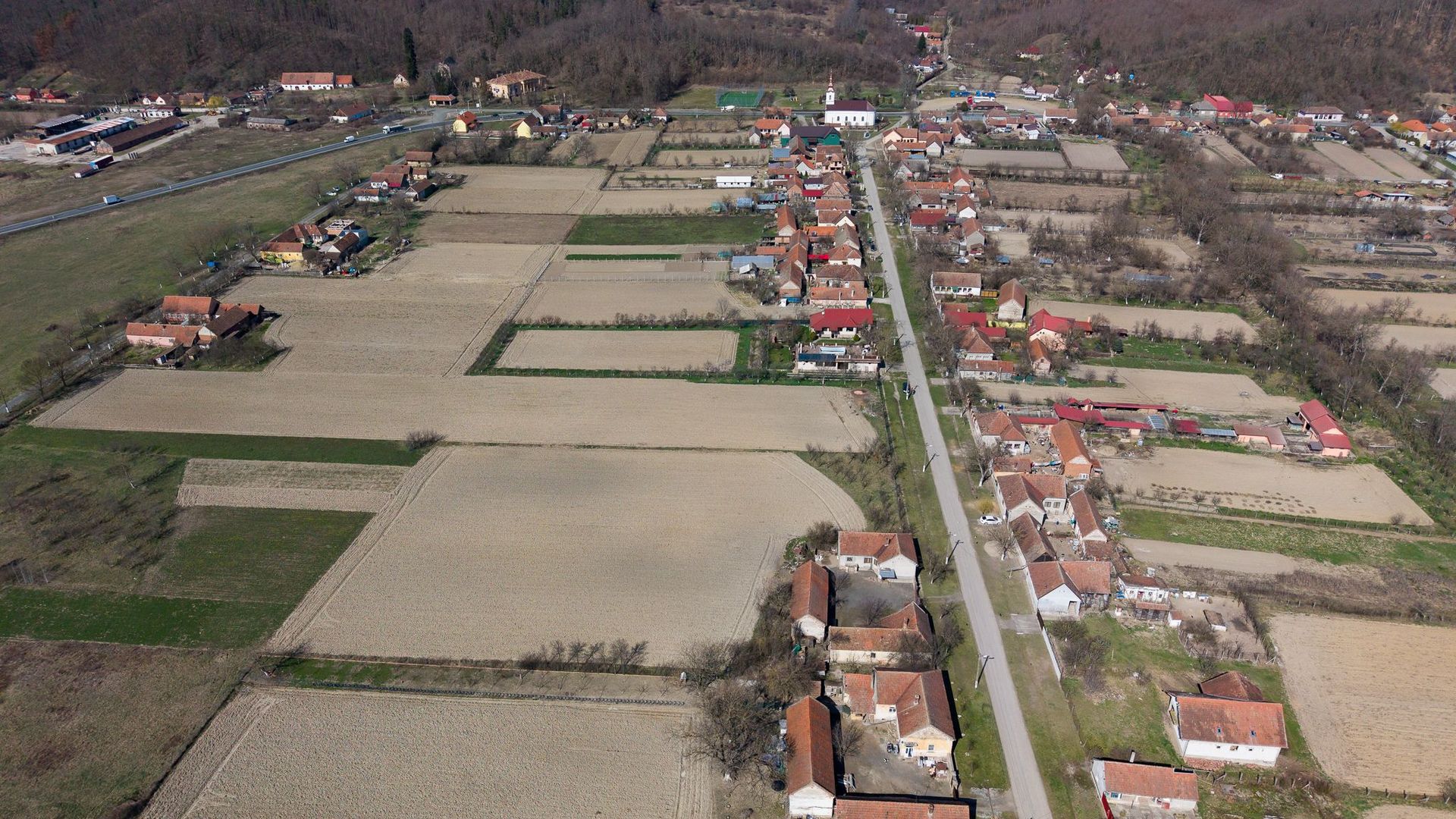 Loc de casă în Odvoș - Conop 3000mp - Poză 21