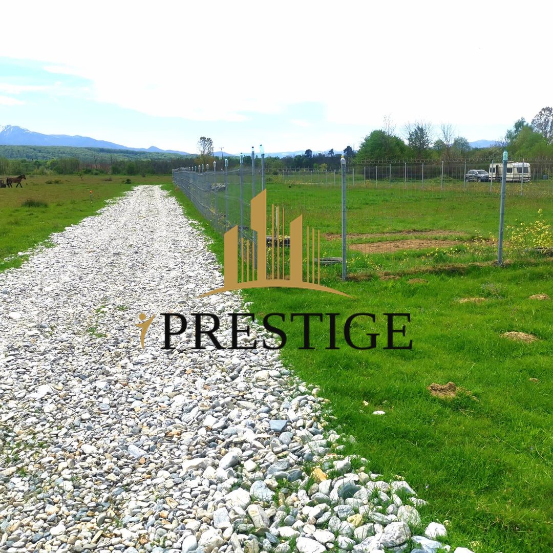 Teren Valea Avrigului – 1.000 mp | 1 km Dino Park | 25 €/mp - Poză 4