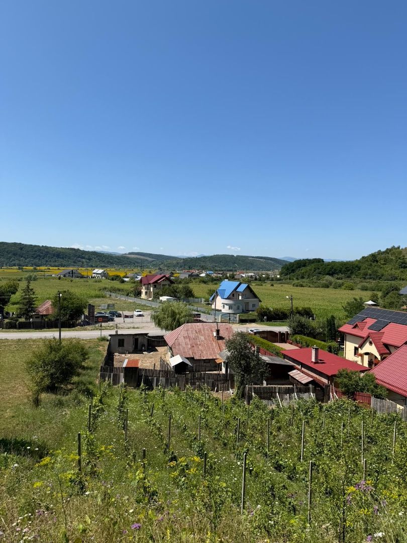 🏡 CASĂ BĂTRÂNEASCĂ DE VÂNZARE – SĂNDULENI,  💥 Comision 0% - Poză 7
