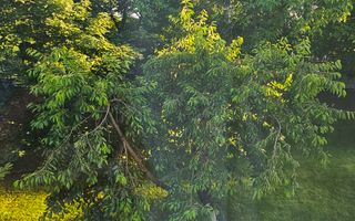 Casă premium D+P+E cu anexe si teren generos - Poză 49