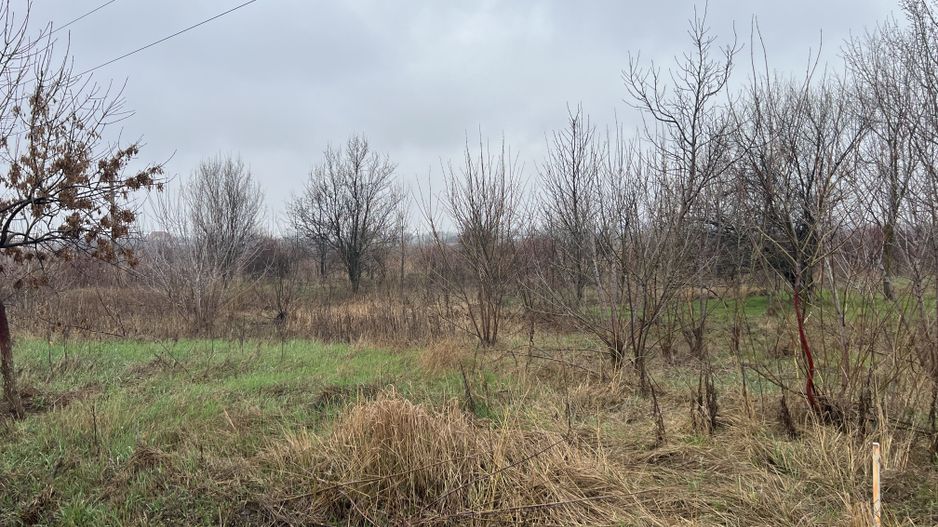 Teren la DN7 - ideal investitie (Benzinarie, spalatorie, hala) - Poză 5