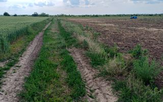 Teren intravilan de vanzare | Peris | 10.000 mp | Investitie sigura - Poză 7