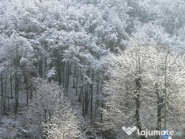 Apartament renovat in Racadau - Poză 5