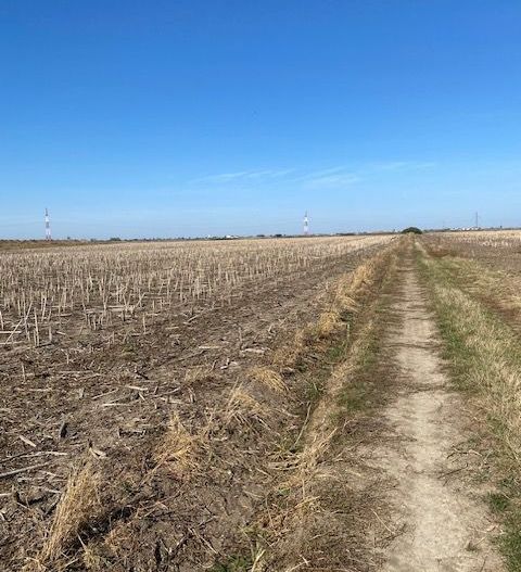 Teren agricol în Zona Sagului - Poză 6
