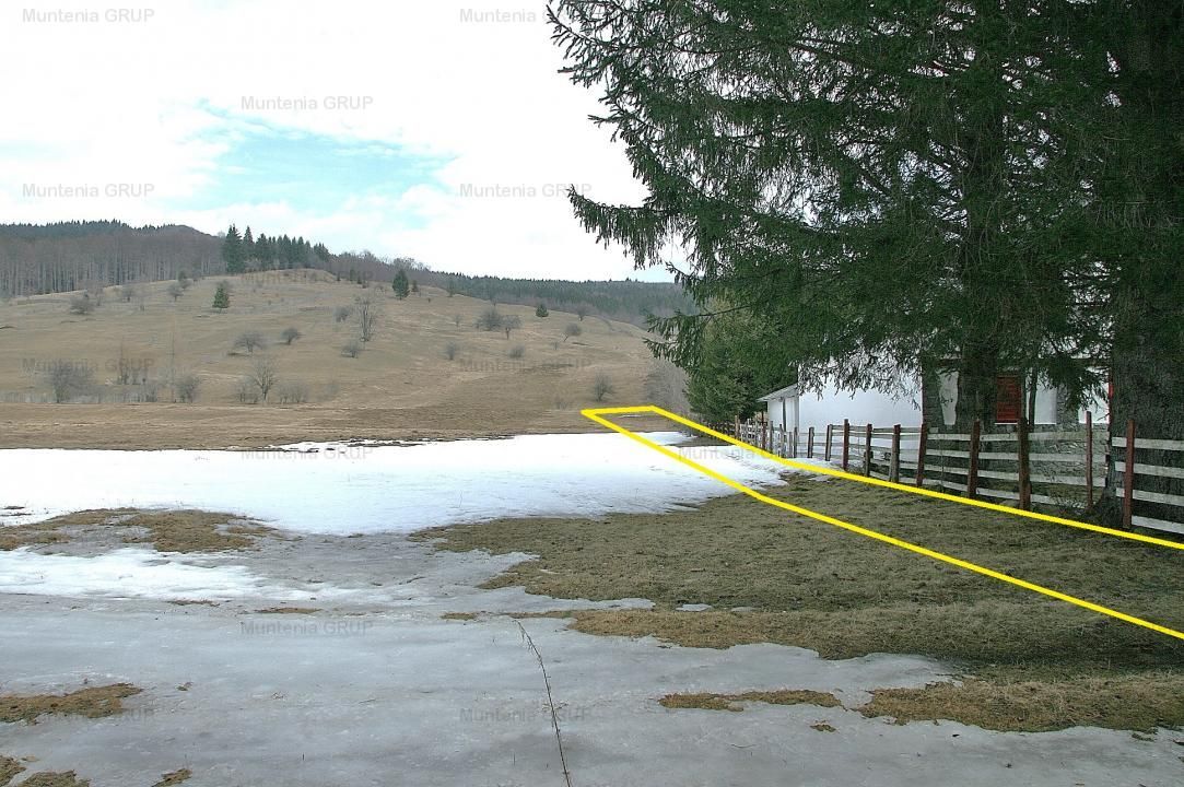 VALEA DOFTANEI - Traisteni, langa Conacul Dascalu, vanzare 2.537 mp. teren - Poză 7