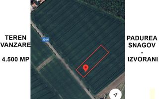 Teren intravilan - 4500 mp - Izvorani - Padurea Snagov - Poză 2