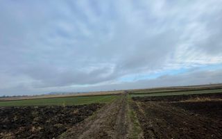 TEREN EXTRAVILAN 13 ARI | FRONT STRADAL 13 M | MARGINEA - Poză 6