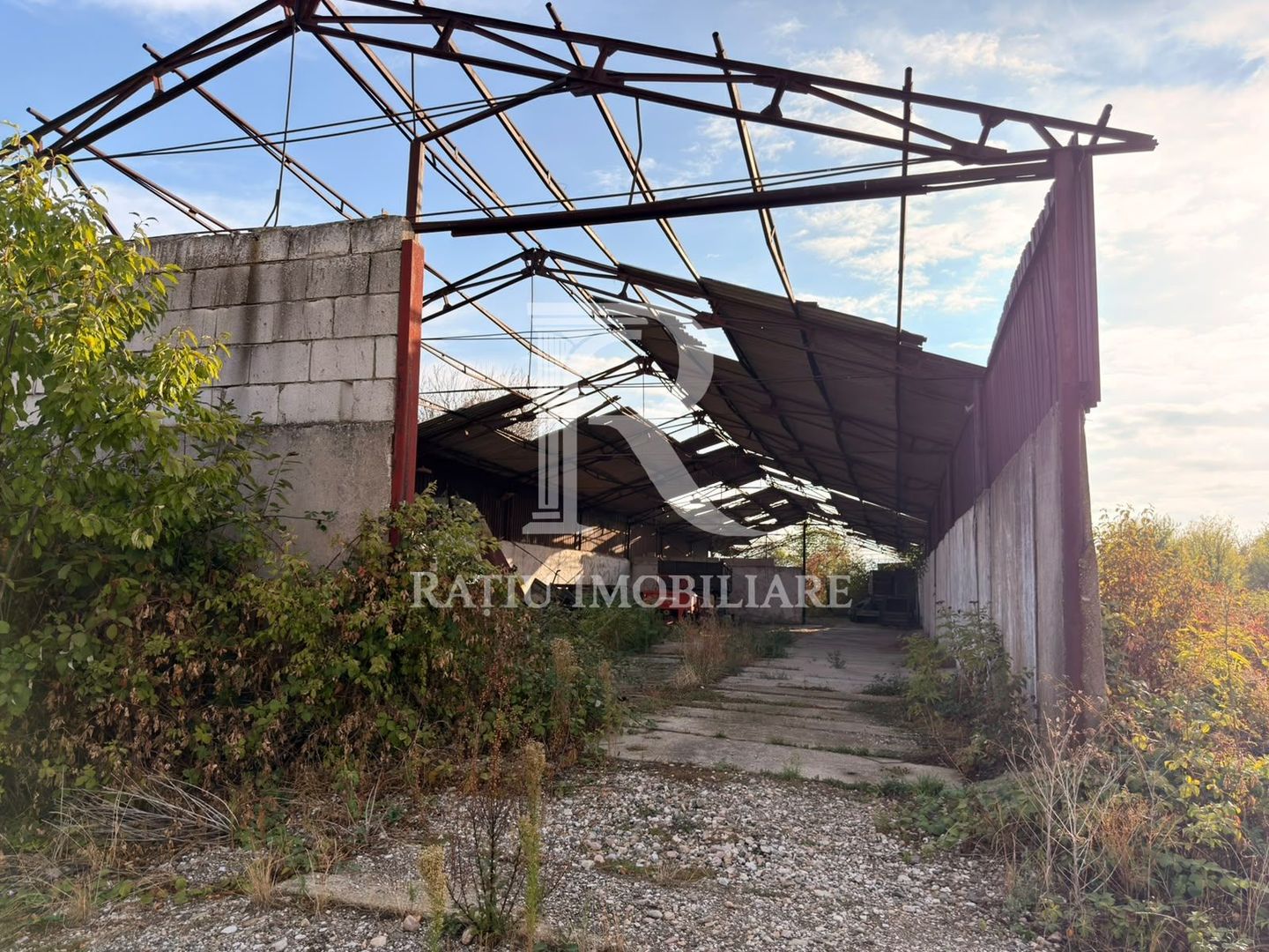 Fermă Sărand | Bihor | 25.659 mp teren intravilan - Poză 23