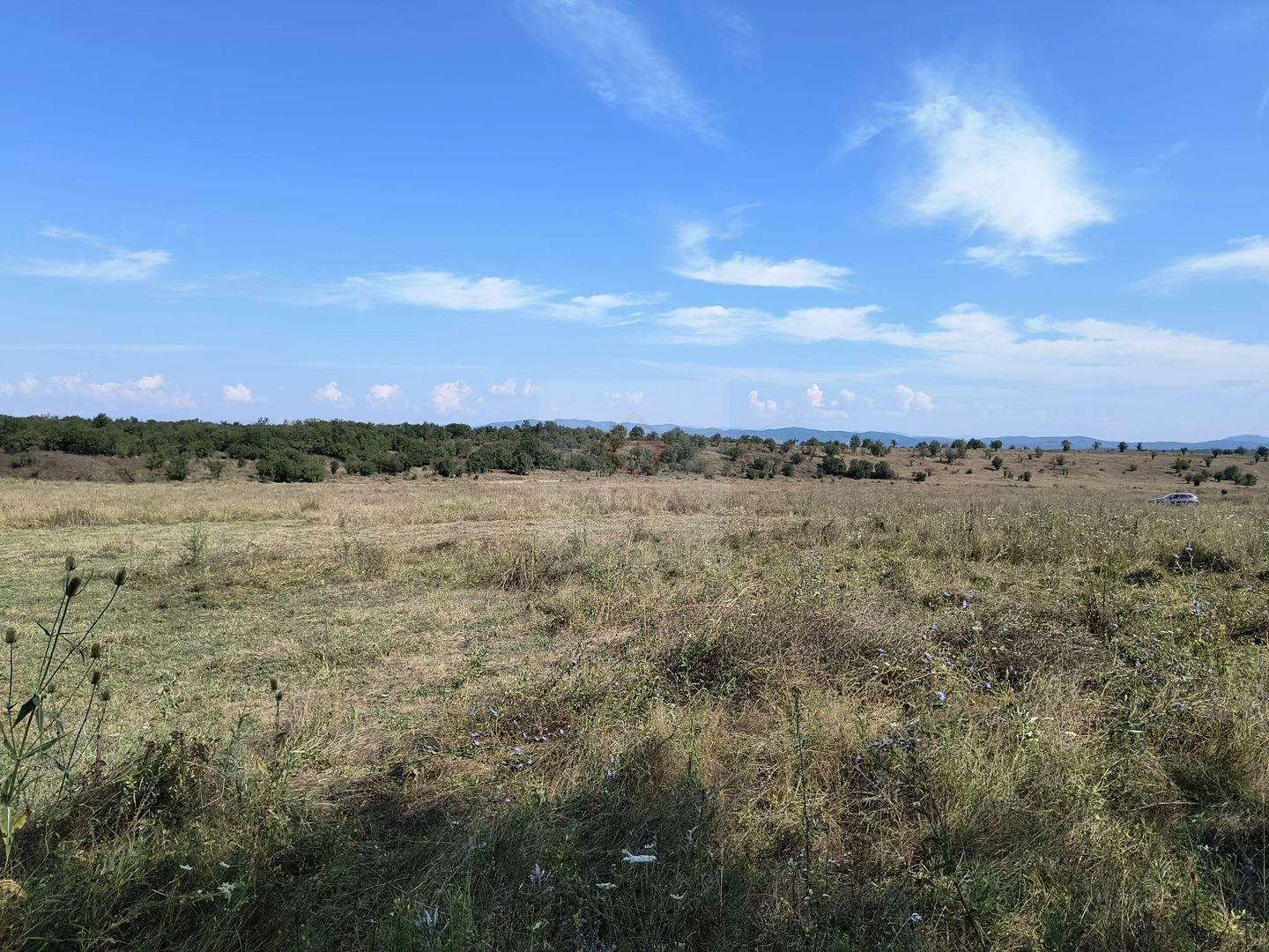 Teren intravilan investitie - Poză 5