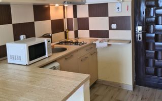 Garsoniera de inchiriat Fabricii - Poză 4