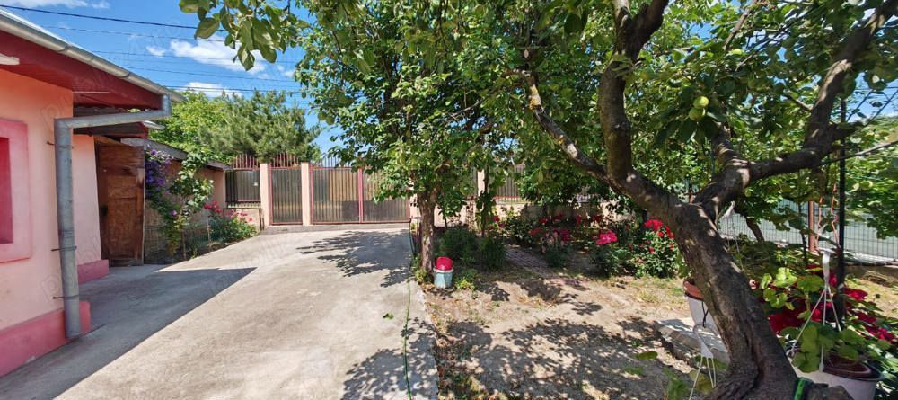 Casa cu 3 camere | Buftea | Toate utilitatile | Langa padure si lac - Poză 3