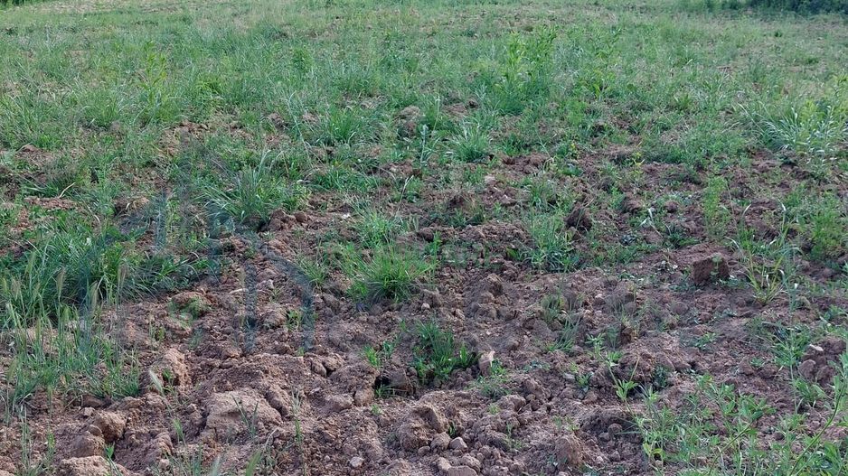 Teren intravilan 3890 mp cu casă 90 mp, Hârlău, Iași - Poză 2