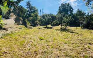 TEREN INTRAVILAN 3234 MP LEREȘTI VOINEȘTI ARGEȘ - Poză 6