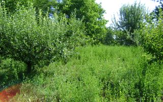 Teren de vânzare în Breaza– zonă liniștită, ideal pentru relaxare - Poză 15