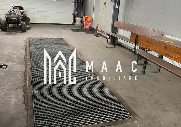 Hală industrială I Birouri I Parcare I TIR I 12000 mp I Bradu - Poză 7