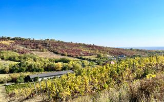 14Ha podgorie, livada pomi fructiferi, si conac 3000mp - Poză 8