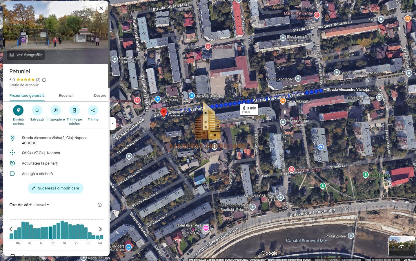 | Apartament cu 3 camere de vanzare | Cartierul Grigorescu | Etaj intermediar | - Poză 8