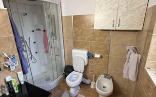 Casa/vila P+E+M, individuala ,730 mp teren-Timișul de jos/Dâmbul Morii - Poză 24