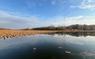 Marina Snagov - Inchiriere - Vila NOUA - 5 camere - ponton la Lacul Snagov - Poză 31