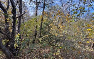 TEREN INTRAVILAN 13167 MP BUGHEA DE SUS ARGES - Poză 23