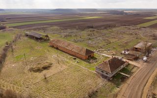 Fermă cu teren intravilan de 35000 mp în Mișca - Poză 12