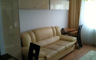 Apartament 2 camere mobilat cu loc de parcare – Green Park Tătărași - Poză 4