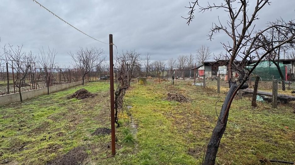 Casa de vanzare zona Sacadat - Poză 7