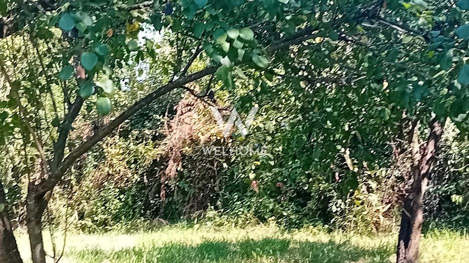 974 mp de vis, între pădure și cer - Teren intravilan, Cisnadioara, Sibiu - Poză 6