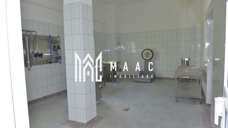 Fabrica de lactate utilata Sibiu - Poză 10