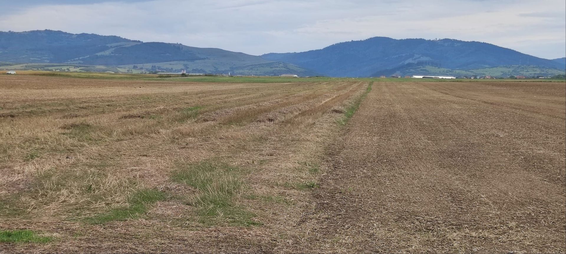 Carpinis, 10000mp-arabil, 25000Euro - Poză 2