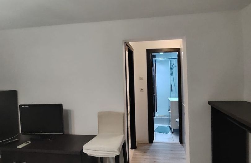 Apartament 2 Camere | Lacul Tei - Poză 7