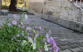 Casa zona Bogdanestilor Pozitie Unica Teren generos Comision 0 - Poză 15
