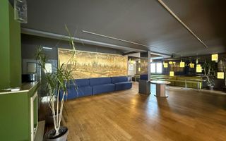 OPORTUNITATE VANZARE - INCHIRIERE VILA RESTAURANT | GRADINA ICOANEI | - Poză 13