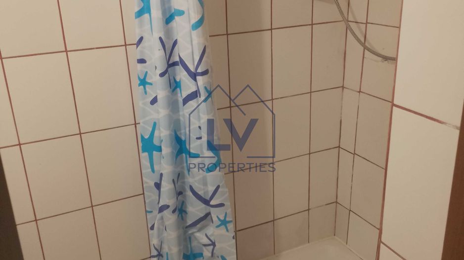 Garsonieră Cismigiu - Poză 3