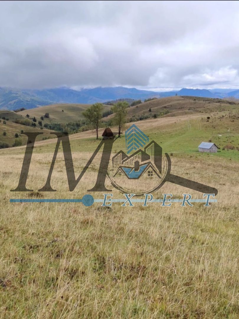 Teren extravilan Transapuseana - Poză 3